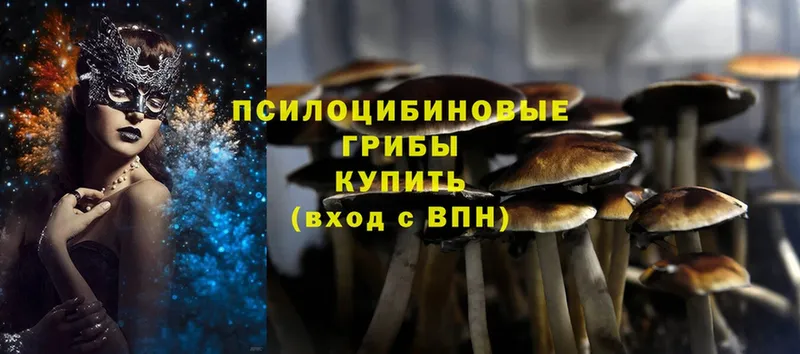 Псилоцибиновые грибы Magic Shrooms  Лебедянь 